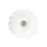 2G SPORTS WHITE label Badminton Feather Shuttlecocks One Tube - 2G SPORTS